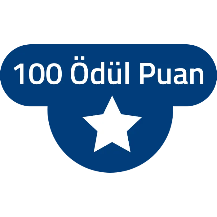 Bigjoy 100 Ödül Puan